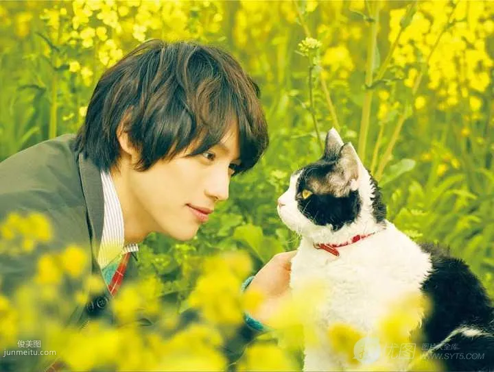日本帅哥福士苍汰日常逗猫生活照片套图1