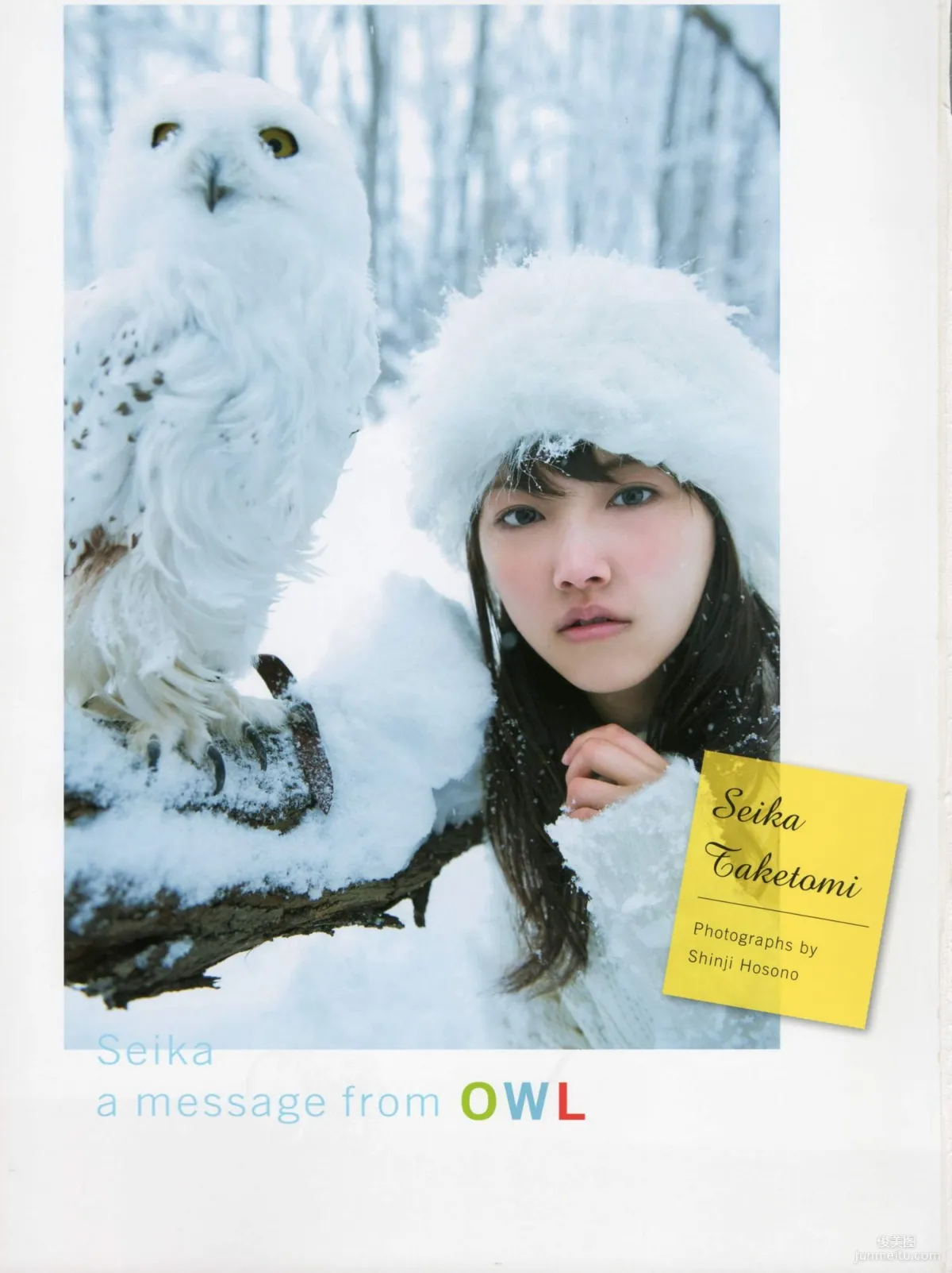 Seika Taketomi 竹富聖花 《A message from OWL》写真集2