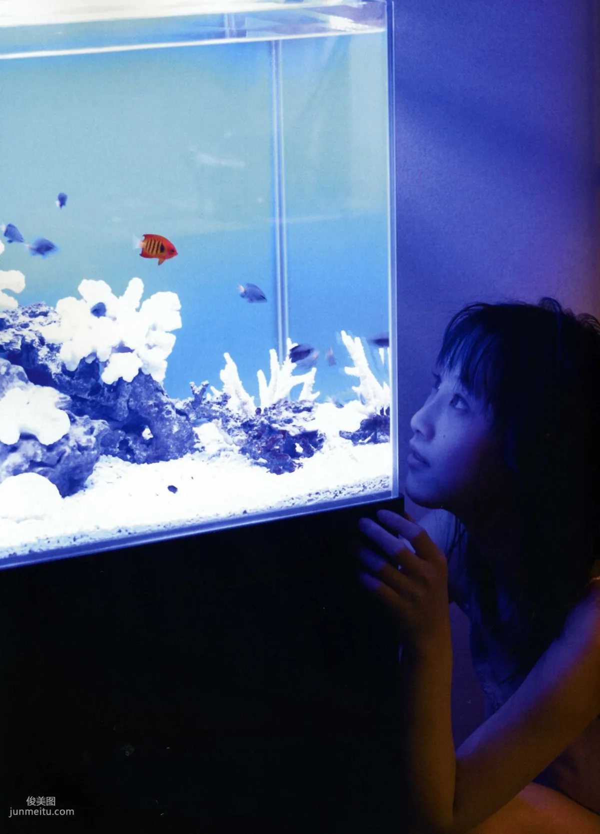 松井玲奈 《Kingyo》 Goldfish [PB写真集] 65