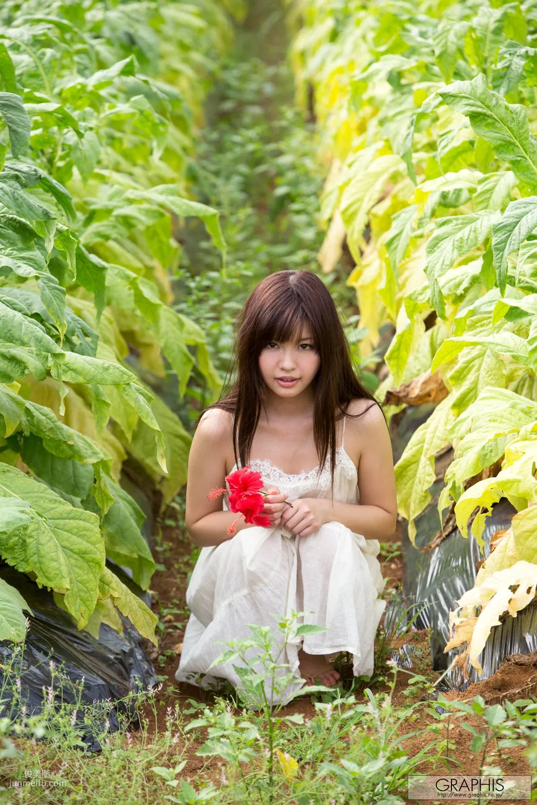 葉山めい/叶山芽衣 [Graphis] First Gravure 初脱ぎ娘 写真集4