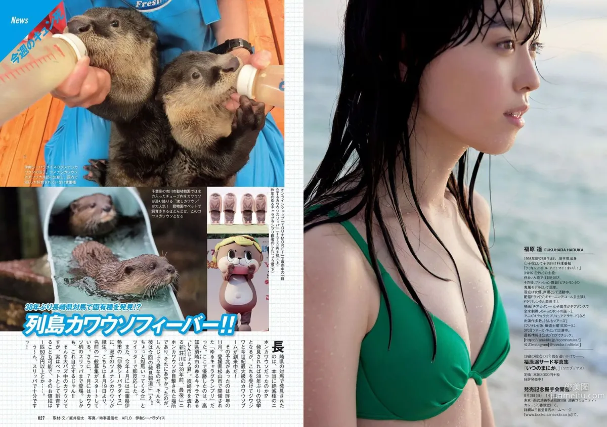 石原さとみ 松永有紗 福原遥 澤北るな [Weekly Playboy] 2017年No.37 写真杂志14