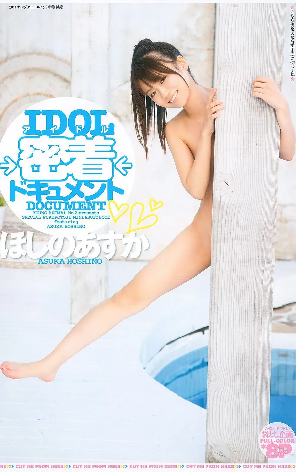 西田麻衣 浅倉結希 ほしのあすか 葵つかさ [Young Animal] 2011年No.02 写真杂志19