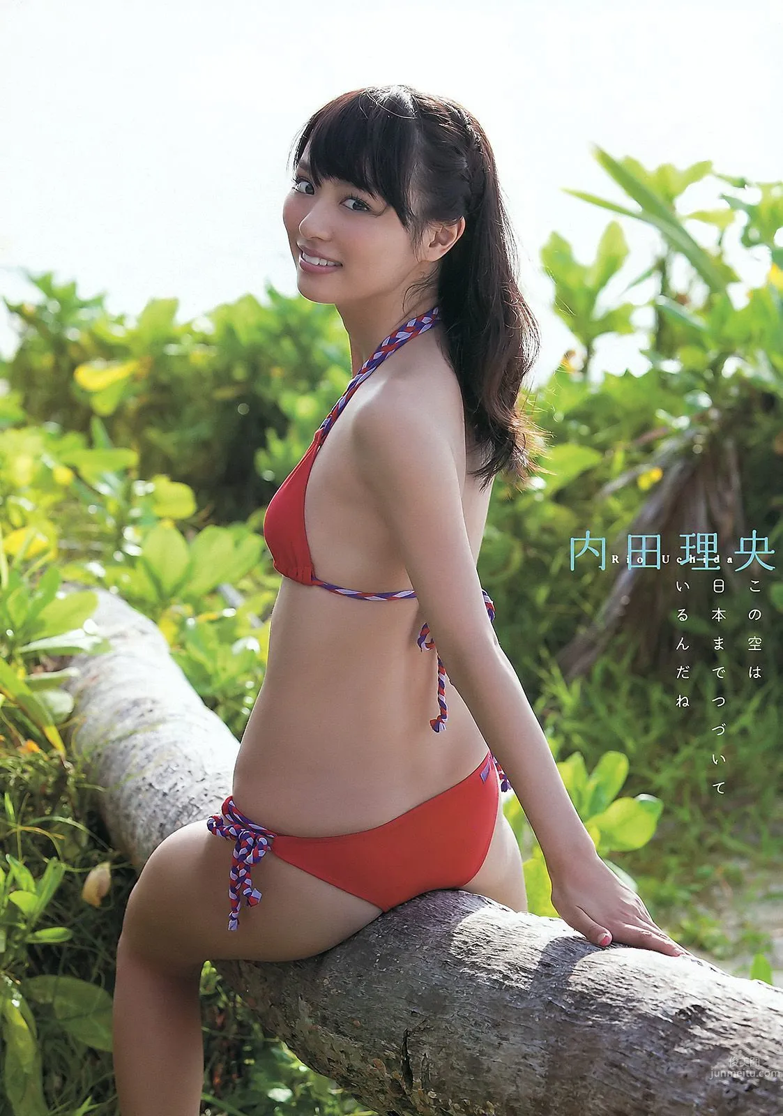 森田涼花 内田理央 绘色千佳 [Young Animal] 2011年No.24 写真杂志16