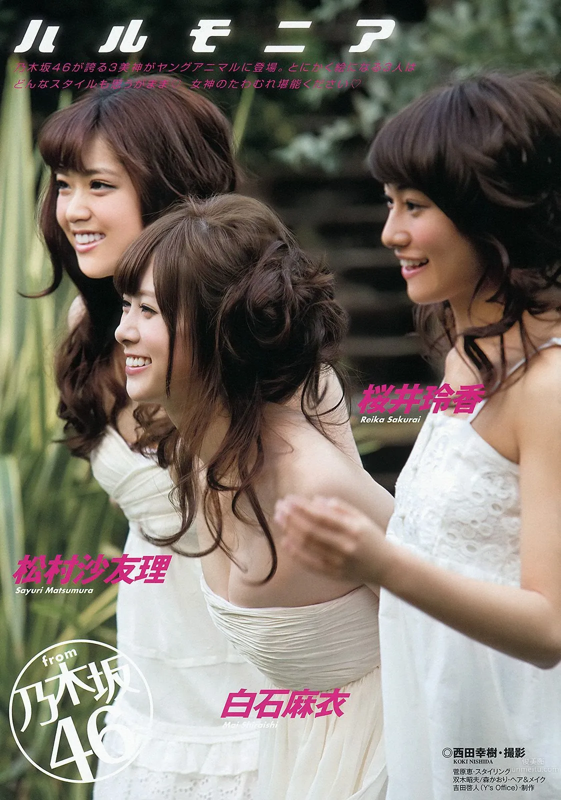 白石麻衣 桜井玲香 松村沙友理 須田亜香里 松村香織 [Young Animal] 2013年No.24 写真杂志2