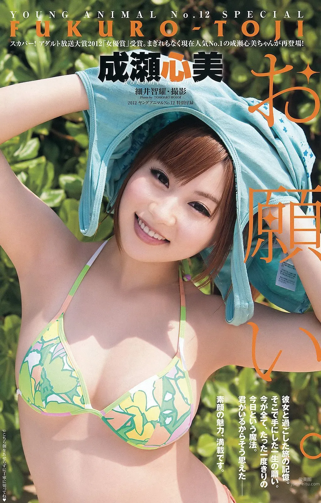 芹那 杉原杏璃 成瀬心美 [Young Animal] 2012年No.12 写真杂志19