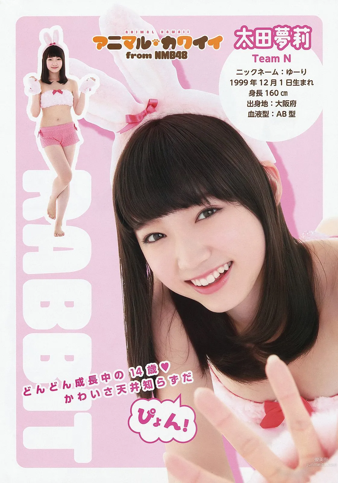 NMB48 吉田朱里 上西恵 渡辺美優紀 矢倉楓子 山本彩 室加奈子 [Young Animal] 2014年No.17 写真杂志12