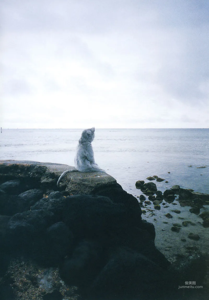 若槻千夏《Chinatty》 [PhotoBook] 写真集115