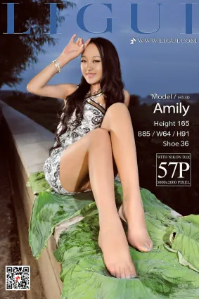 Model 腿模Amily《连衣套裙+肉丝足》 [丽柜Ligui] 写真集