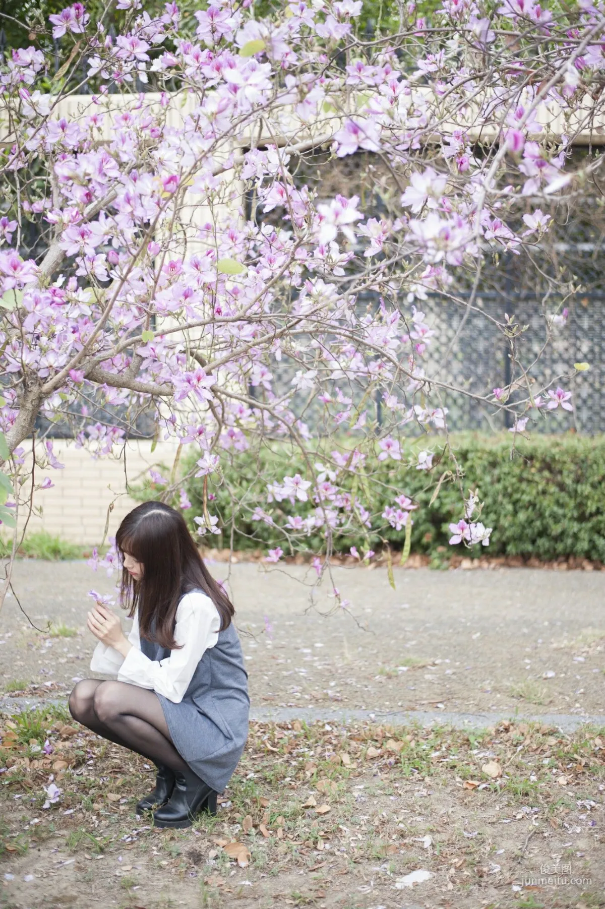 [台湾女神] 彭丽嘉(Lady憶憶)《樱花下的黑丝》 写真集31