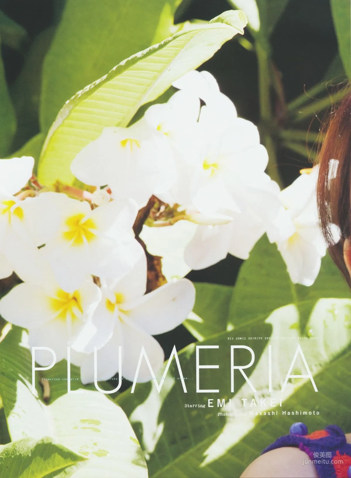 武井咲 《PLUMERIA》 写真集9