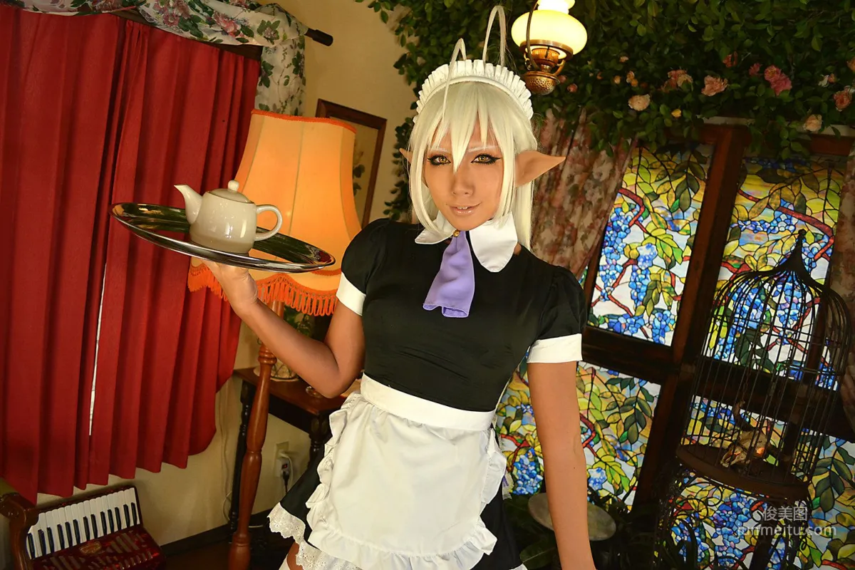 Non (Non SummerJack) 《装甲悪鬼村正》Sansei Muramasa Maid 写真集2