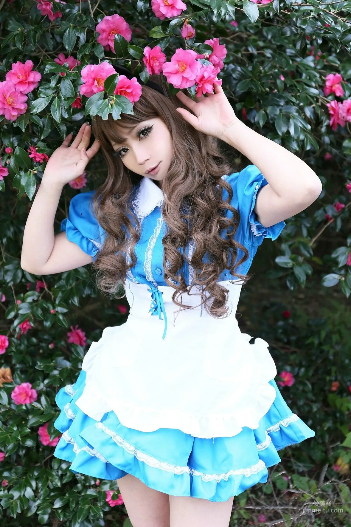 日暮らん 《Alice's Adventures in Wonderland》 Lite.Ver. [HBS] 写真集8