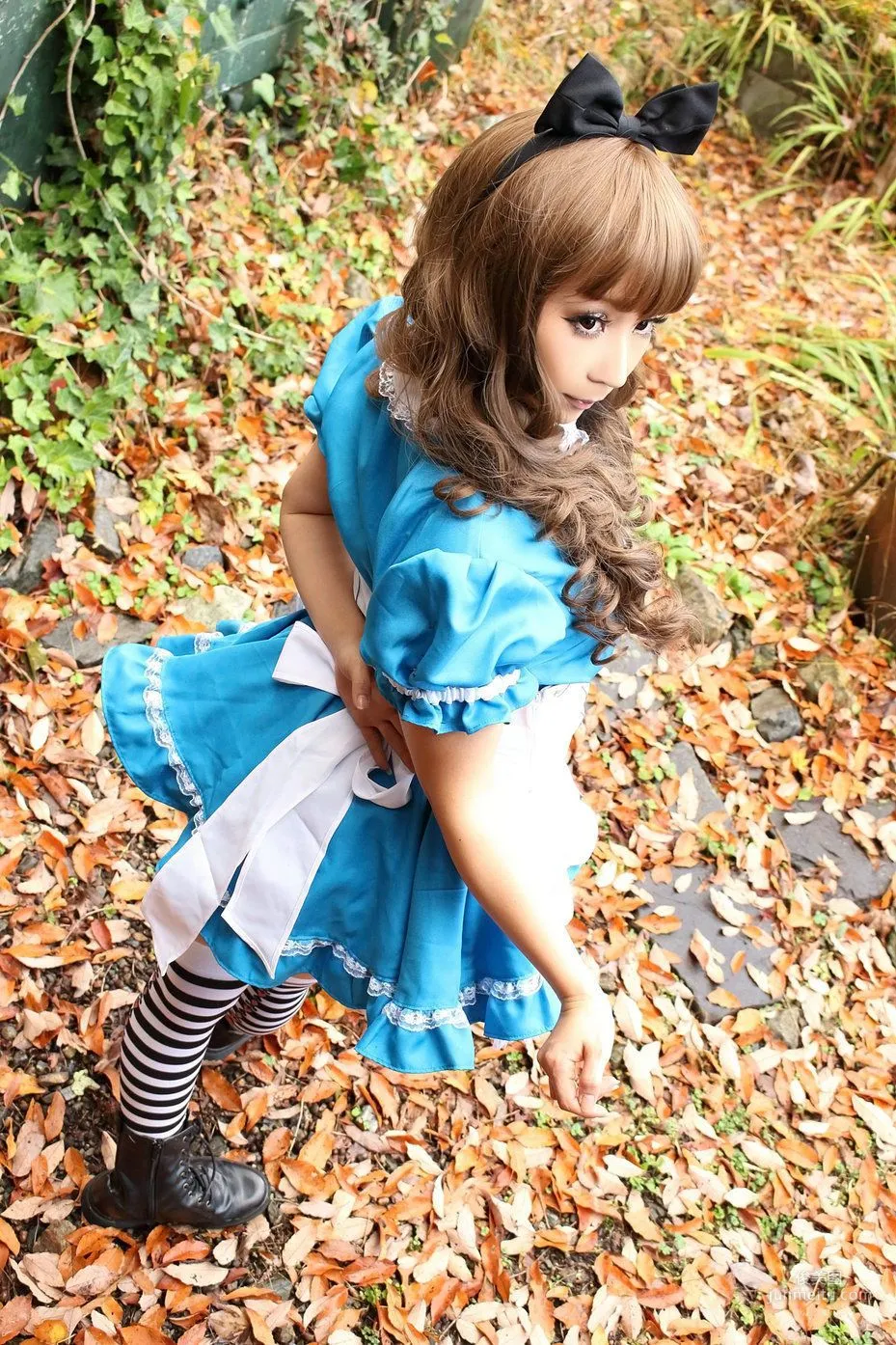 日暮らん 《Alice's Adventures in Wonderland》 Lite.Ver. [HBS] 写真集35