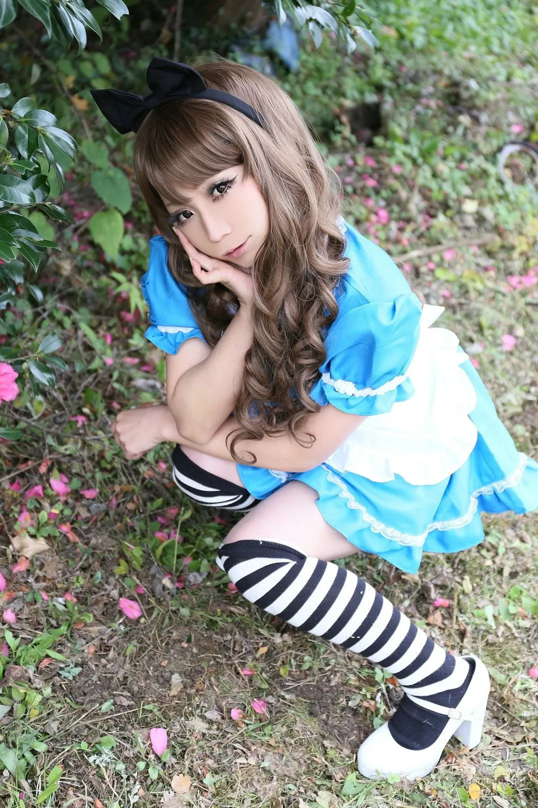 日暮らん 《Alice's Adventures in Wonderland》 Lite.Ver. [HBS] 写真集7