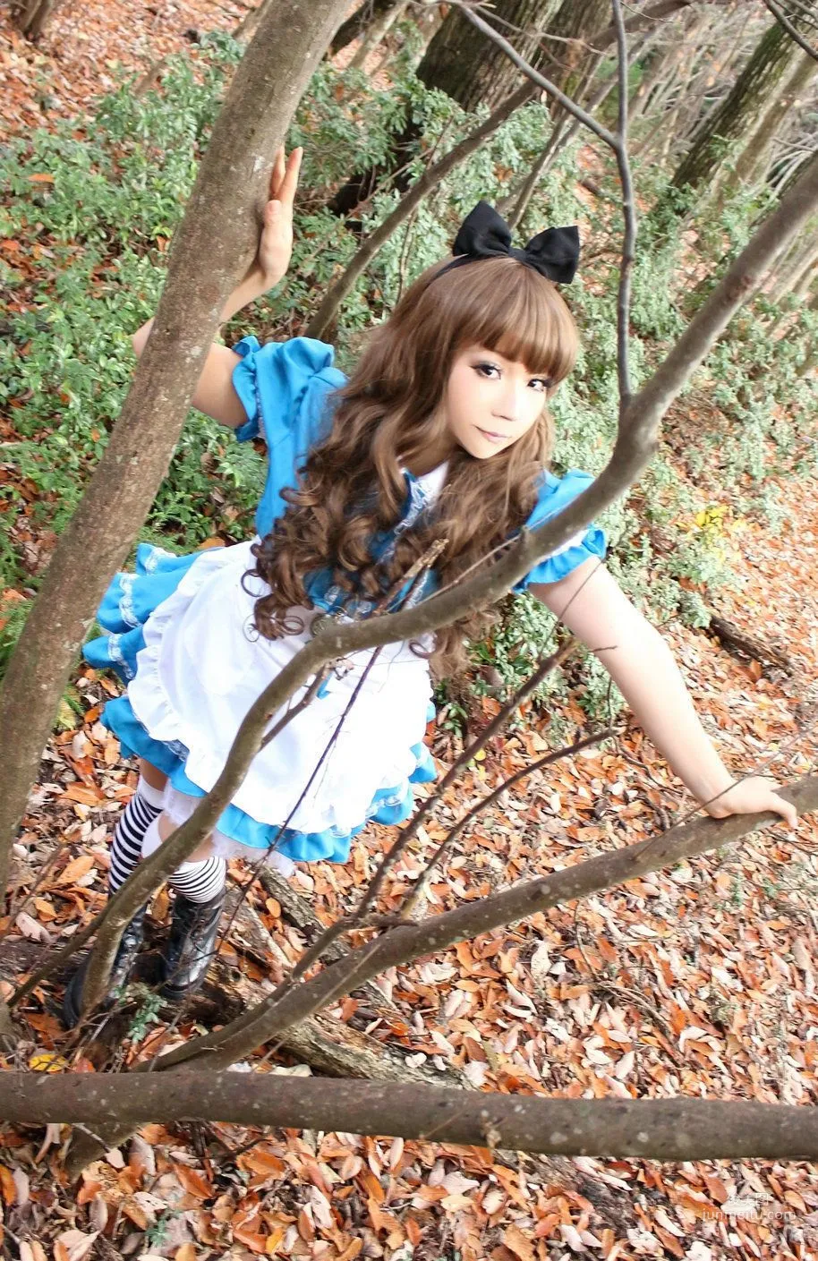 日暮らん 《Alice's Adventures in Wonderland》 Lite.Ver. [HBS] 写真集41