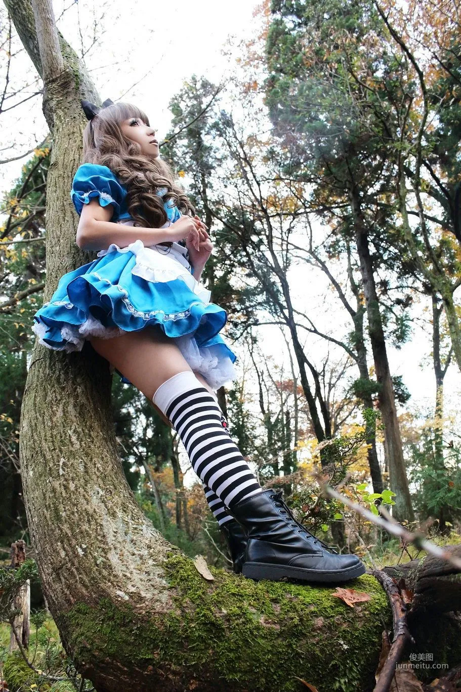 日暮らん 《Alice's Adventures in Wonderland》 Lite.Ver. [HBS] 写真集50