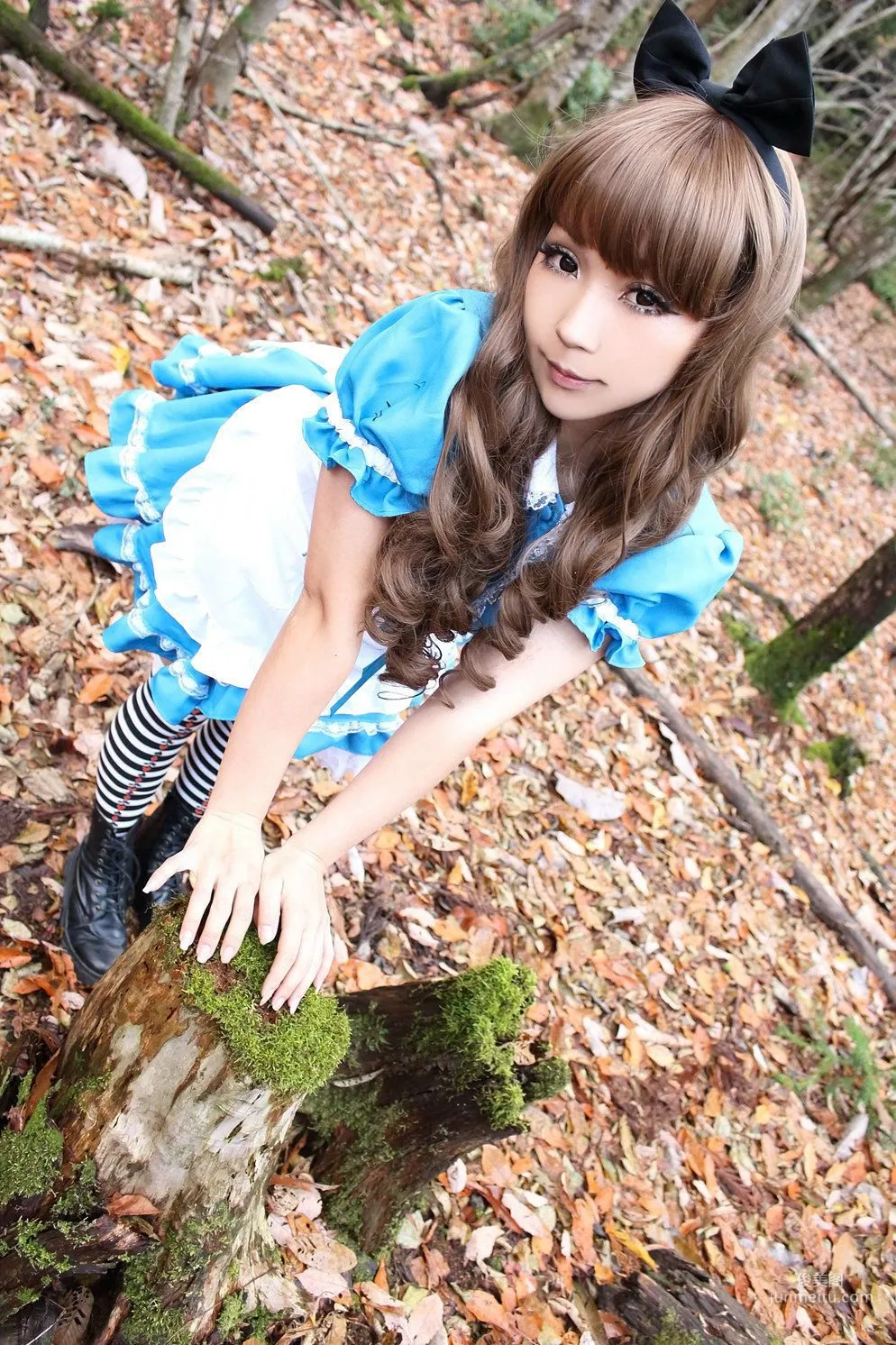 日暮らん 《Alice's Adventures in Wonderland》 Lite.Ver. [HBS] 写真集47