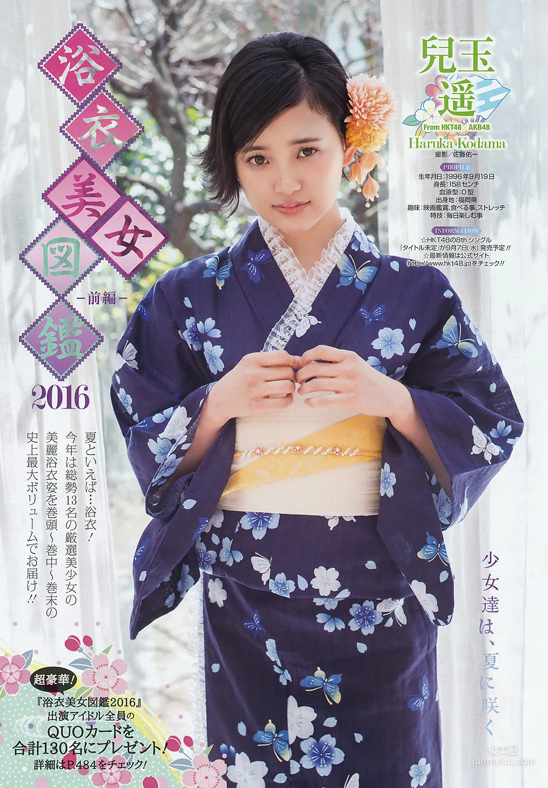[Young Gangan] 御伽ねこむ 2016年No.17 写真杂志8