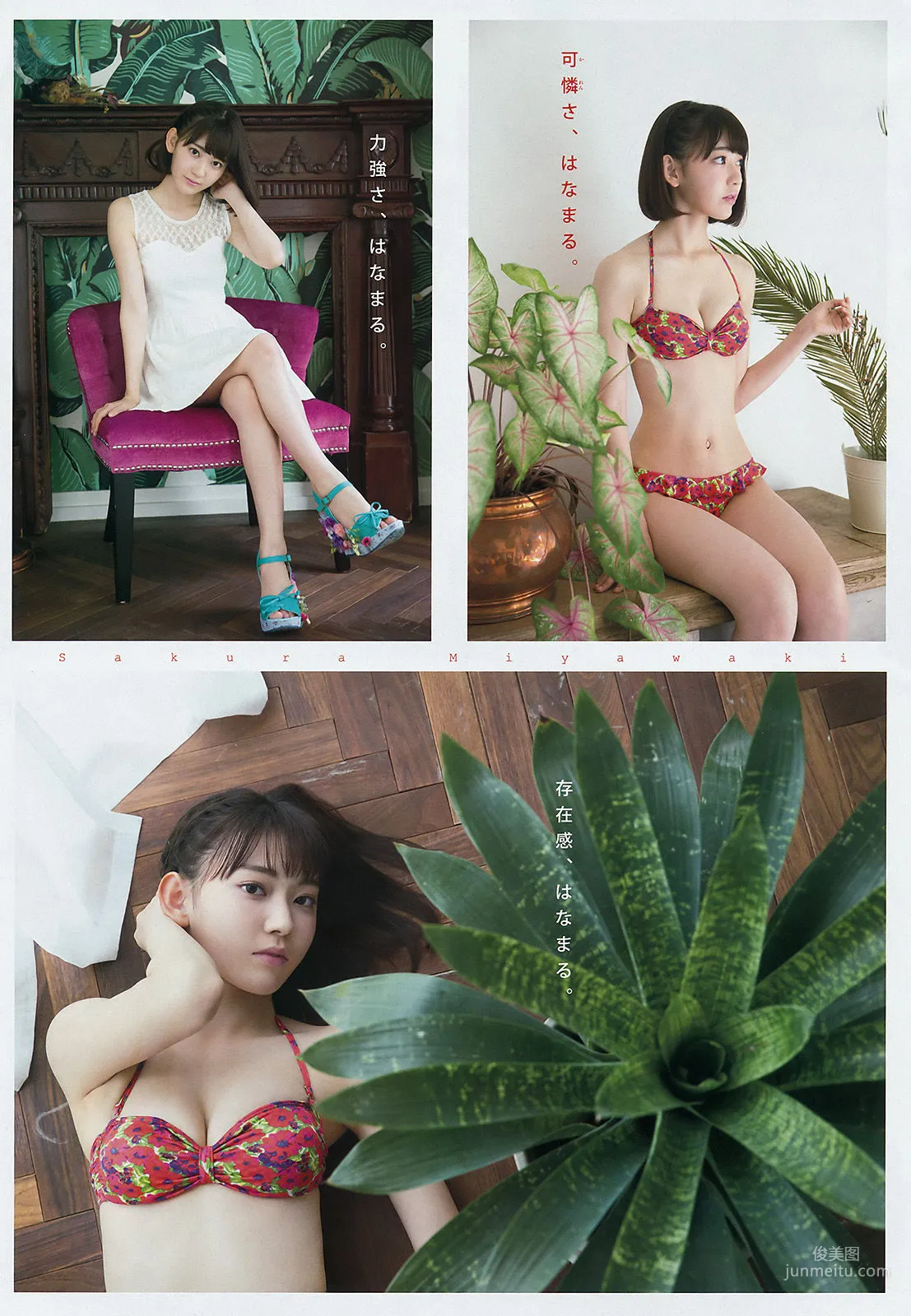 [Young Magazine] 宮脇咲良 大澤玲美 2016年No.41 写真杂志4