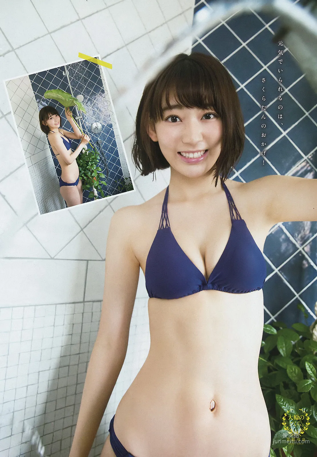 [Young Magazine] 宮脇咲良 大澤玲美 2016年No.41 写真杂志7