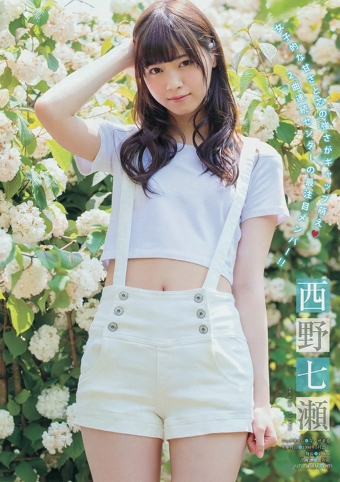 [Young Magazine] 壇蜜 西野七瀬 橋本奈々未 2014年No.29 写真杂志10