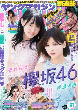 [Young Magazine] 渡邉理佐 菅井友香 岡田紗佳 2017年No.31 寫真雜志