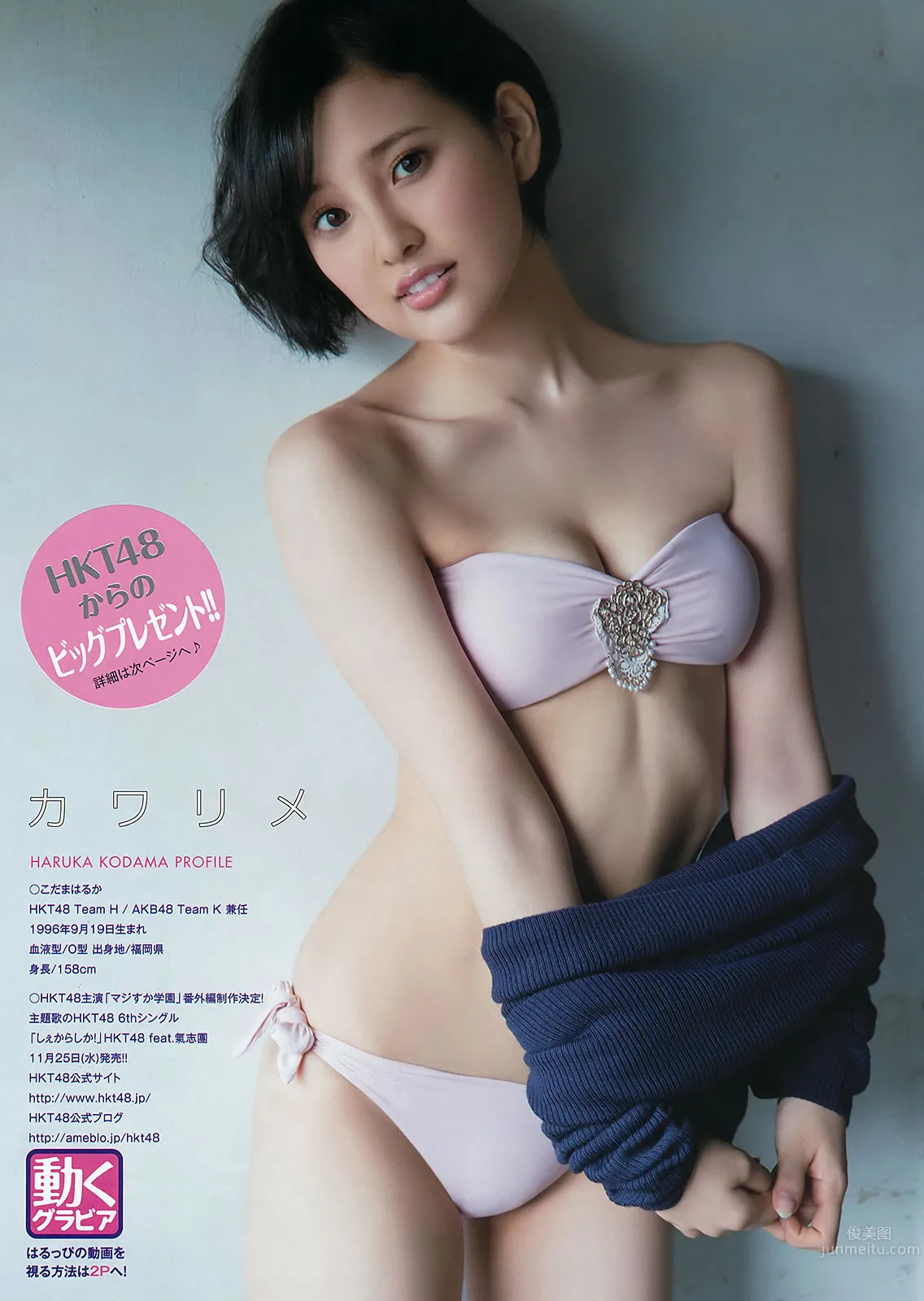 [Young Animal] 2015 No.20-21 福原遥 桜井えりな 兒玉遥 神志那結衣 HKT48 [45P]_19