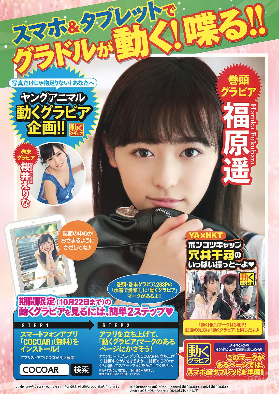 [Young Animal] 2015 No.20-21 福原遥 桜井えりな 兒玉遥 神志那結衣 HKT48 [45P]_3