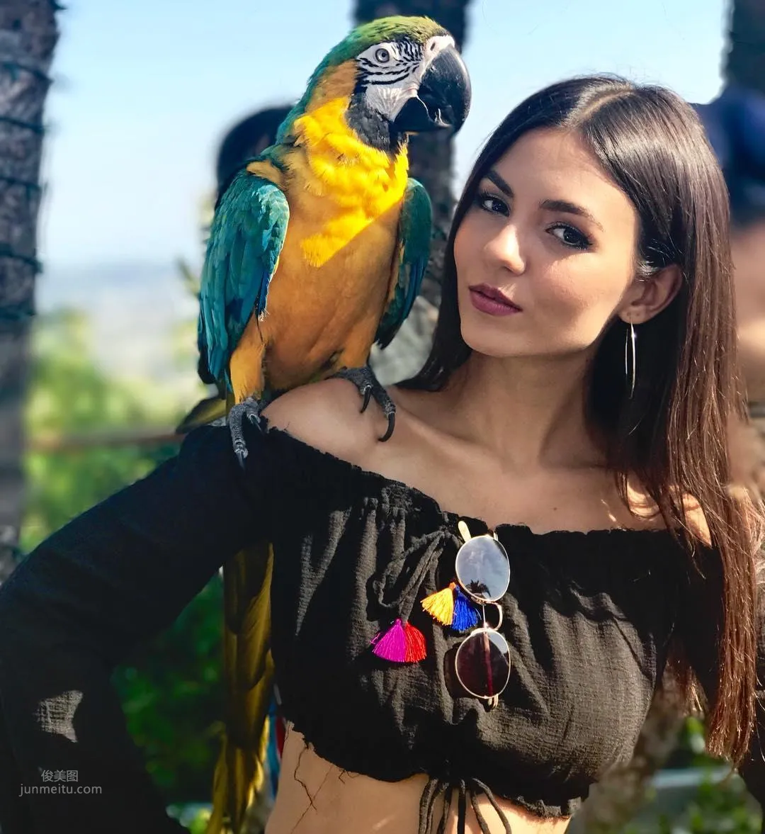 Victoria Justice- 颜值即「正义」的美女歌手_3